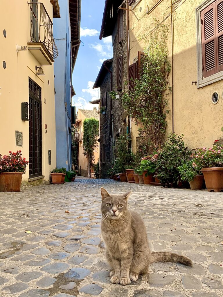 cosa vedere intorno al lago di Bracciano