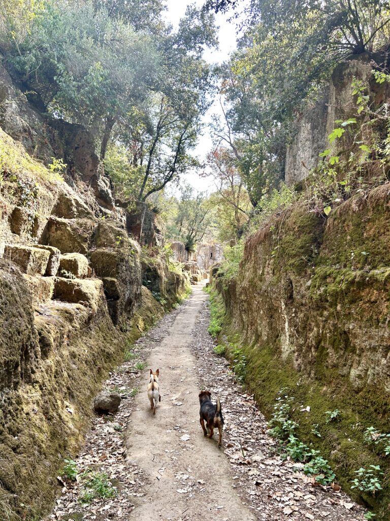 COSA VEDERE A CERVETERI IN UN GIORNO