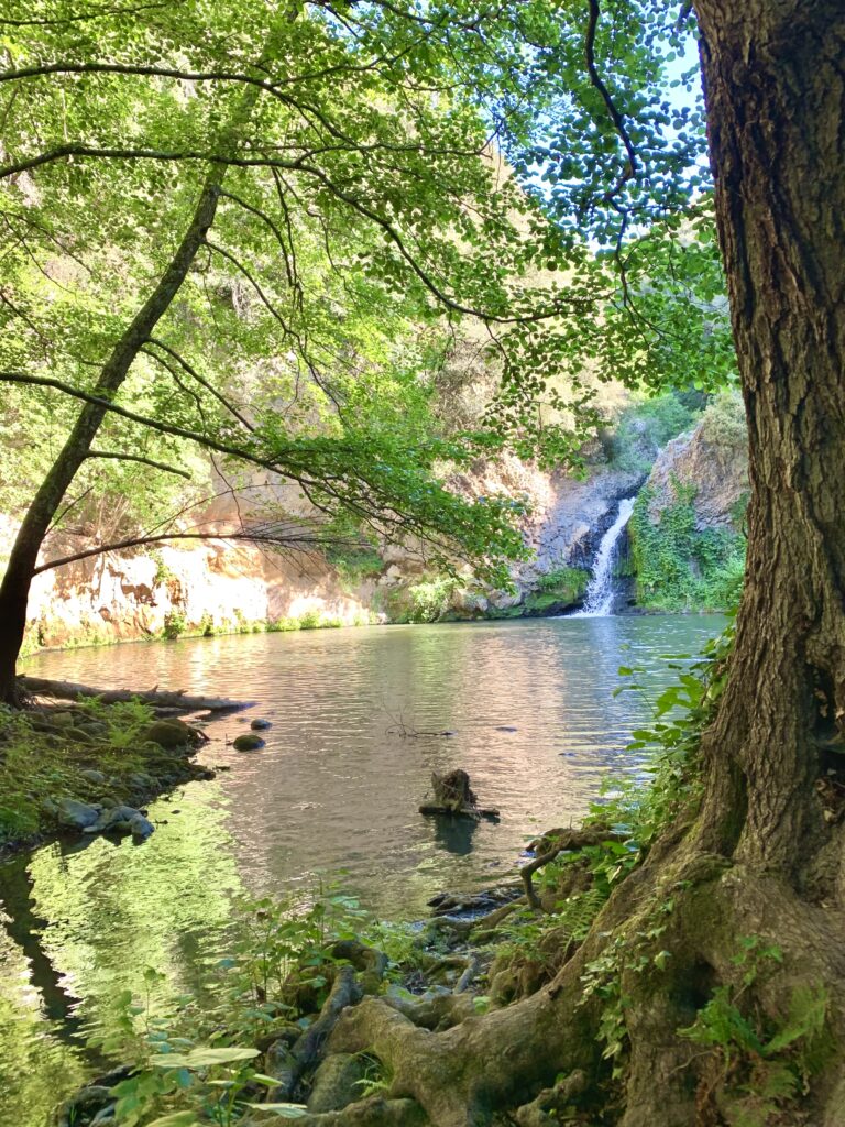 COSA VEDERE A CERVETERI IN UN GIORNO