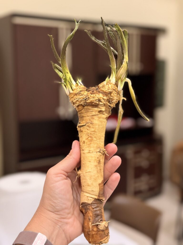 COSA MANGIARE A STIGLIANO